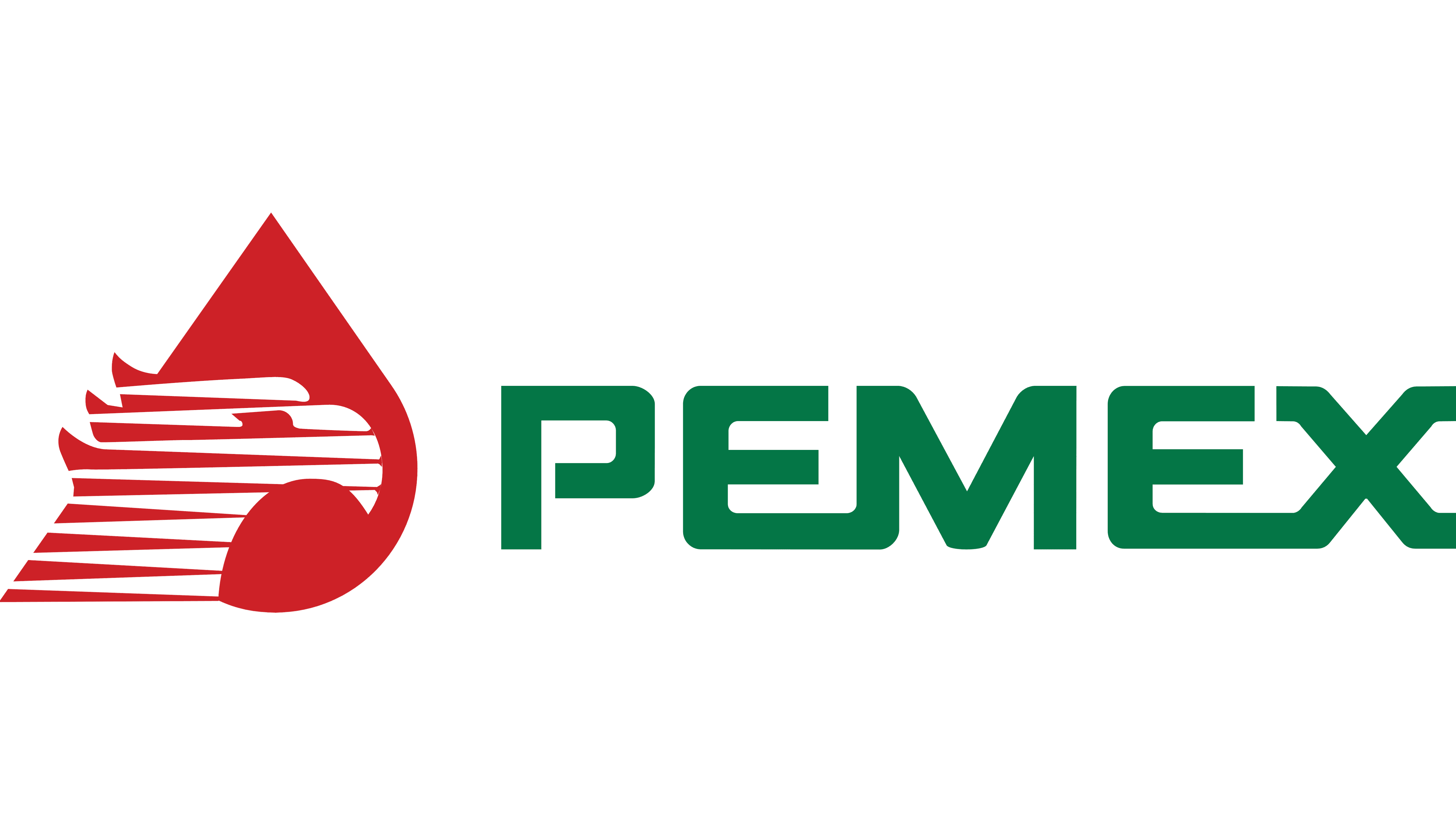 Logo 13